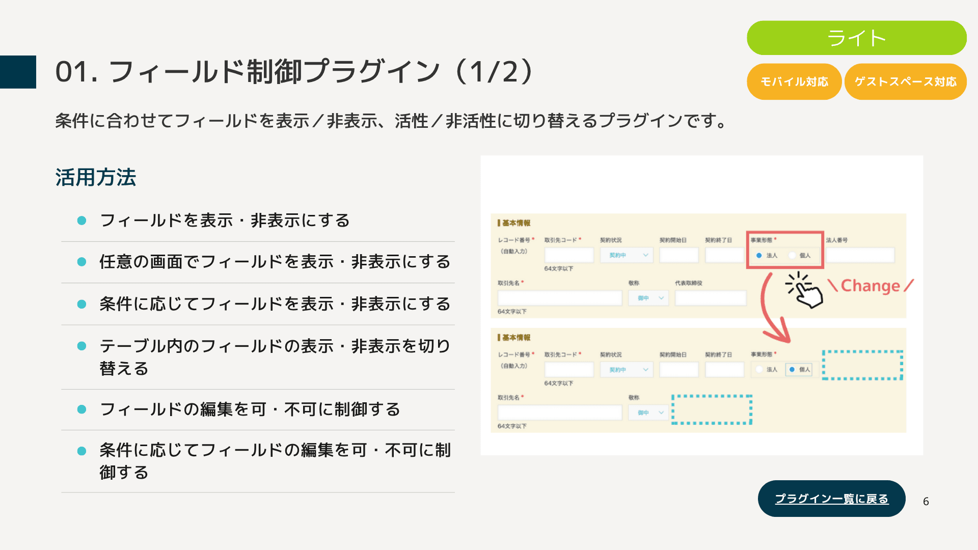 フィールド制御プラグインの機能紹介資料