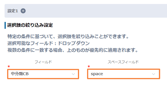 filter-checkbox-options-by-conditionの設定手順2の画面
