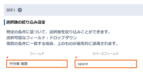 filter-multi-select-options-by-conditionの設定手順2の画面