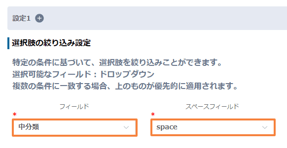filter-radio-options-by-conditionの設定手順2の画面
