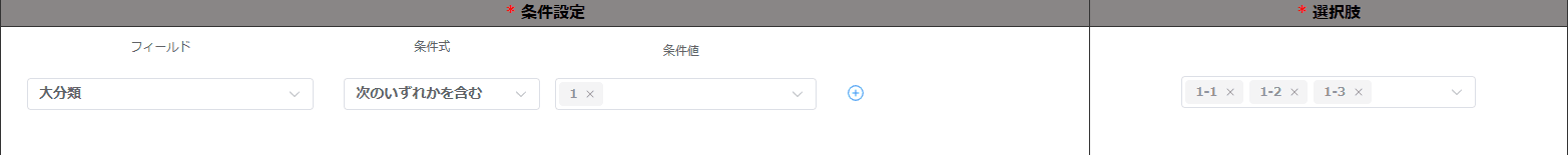 filter-radio-options-by-conditionの設定手順3の画面