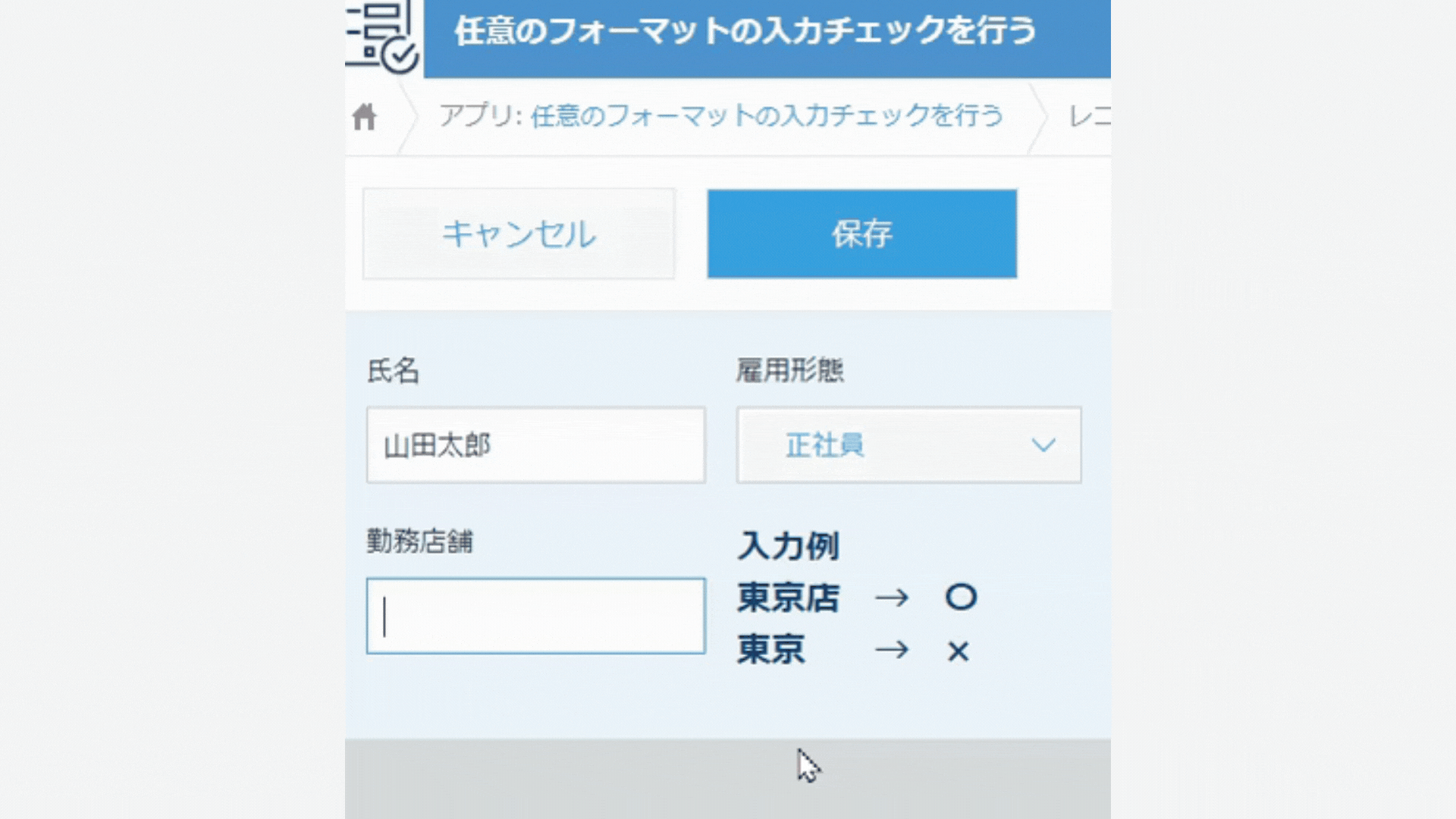 任意のフォーマットの入力チェックを行うイメージ